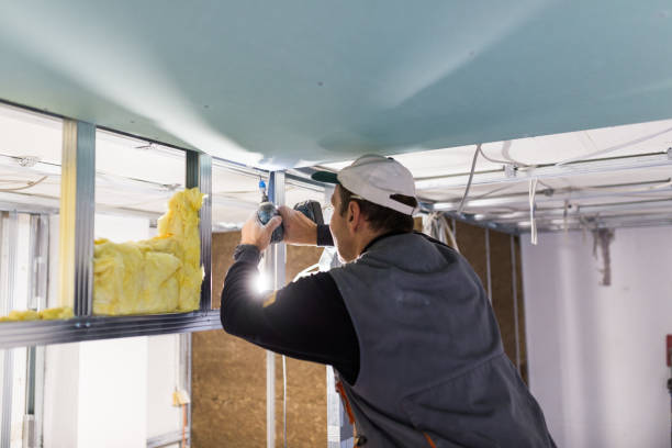 Best Specialized Insulation Services in Five Forks, SC