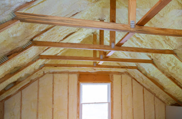 Best Commercial Insulation in Five Forks, SC